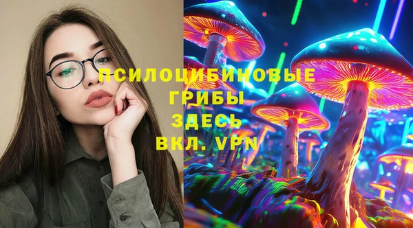 стаф Алзамай