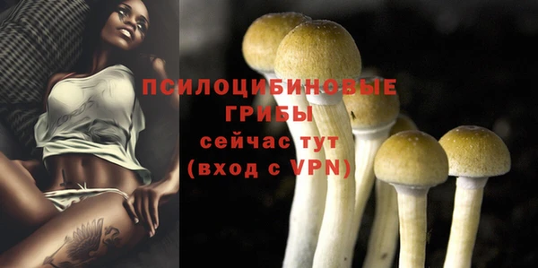 МДПВ Коряжма