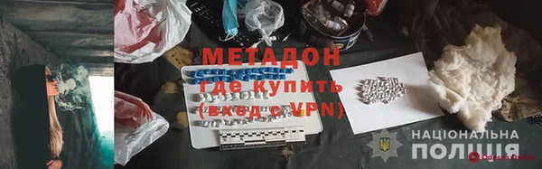 трава Корсаков