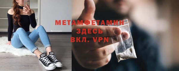 трава Корсаков