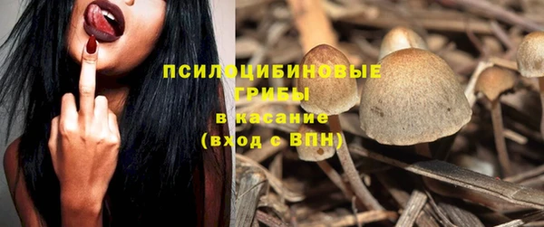 трава Корсаков