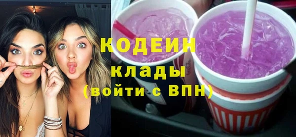 трава Корсаков