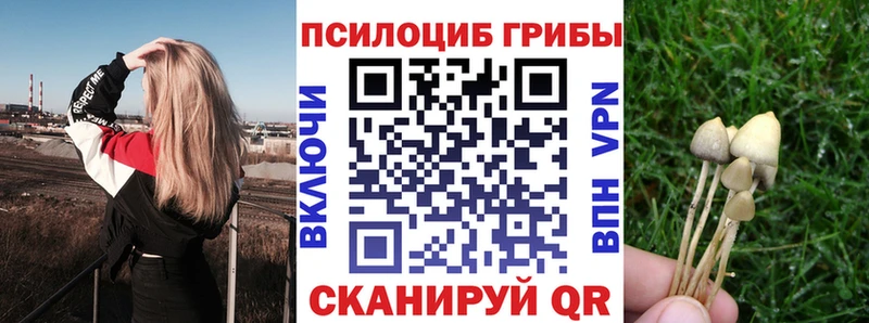 Галлюциногенные грибы GOLDEN TEACHER  как найти   Дюртюли 
